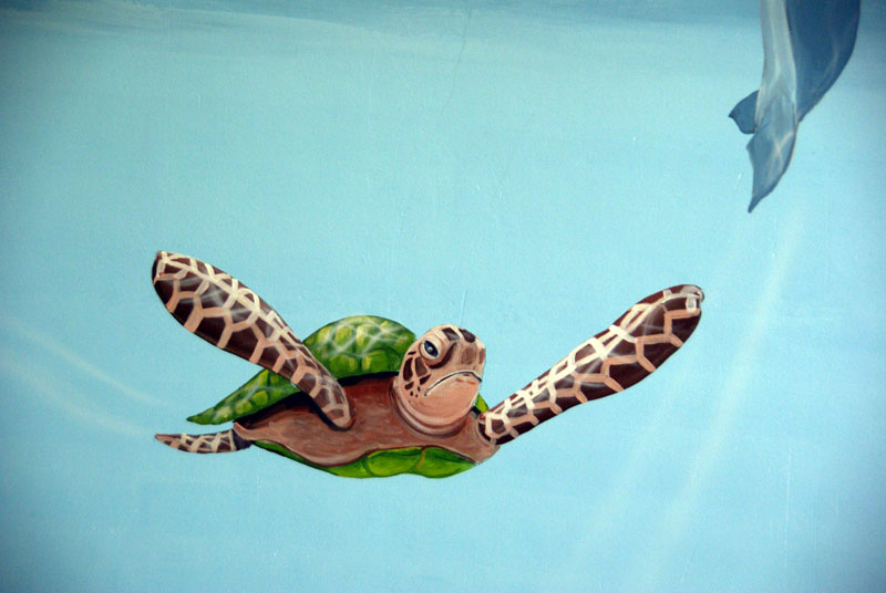 muurschildering_onderwater_schildpad_800x600.jpg