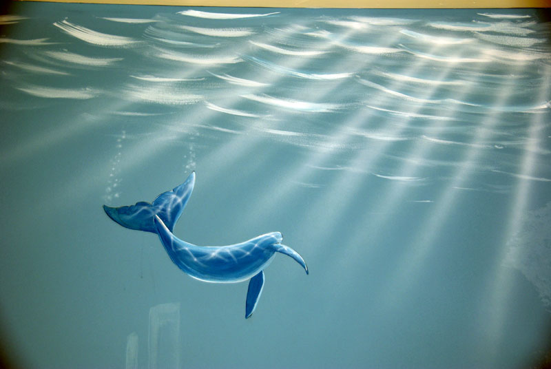muurschildering_onderwater_close-up_walvis_800x600.jpg